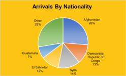 A chart describing client nationality