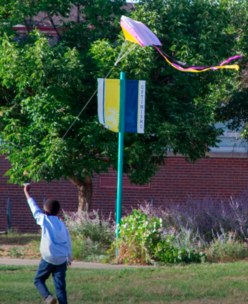 kite flying