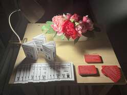 Know your rights cards and zines