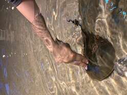 youth client touches hermit crab