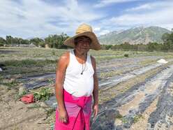 Maung Aye stands centered with the farm and Wasatch mountains in the background. He is wearing a straw, wide-brimmed hat, white tank top with bare tanned arms, and a bright magenta bottom.