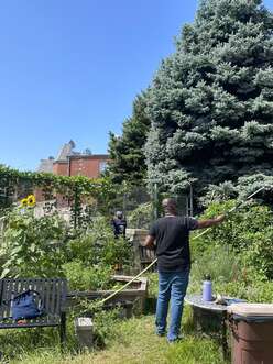 NY New Roots supplies 1