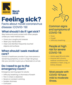 Flyer produced by the State of Idaho describing what to do if you're feeling sick.