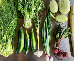 Produce selection for a box, including dill, greens, melons, beets, zucchini, green onions, and sugar cane.
