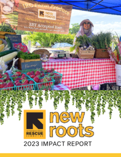 Document preview image