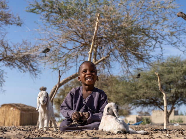 En liten pojke leker med två killingar i Tchad.