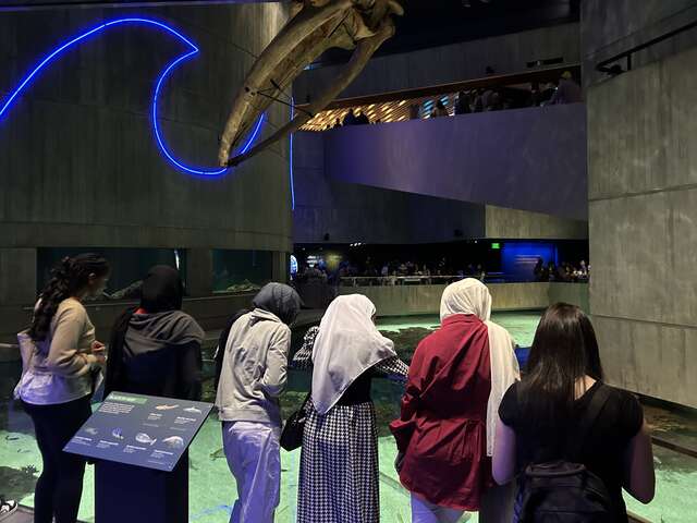 students overlooking the reef exhibit.