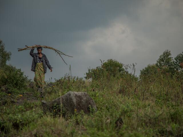 Women in North Kivu in the Democratic Republic of The Congo have banded together to grow crops, using the shared income to pay for their children's schooling.