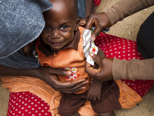 Nigeria Maiduguri Yobe malnutrition