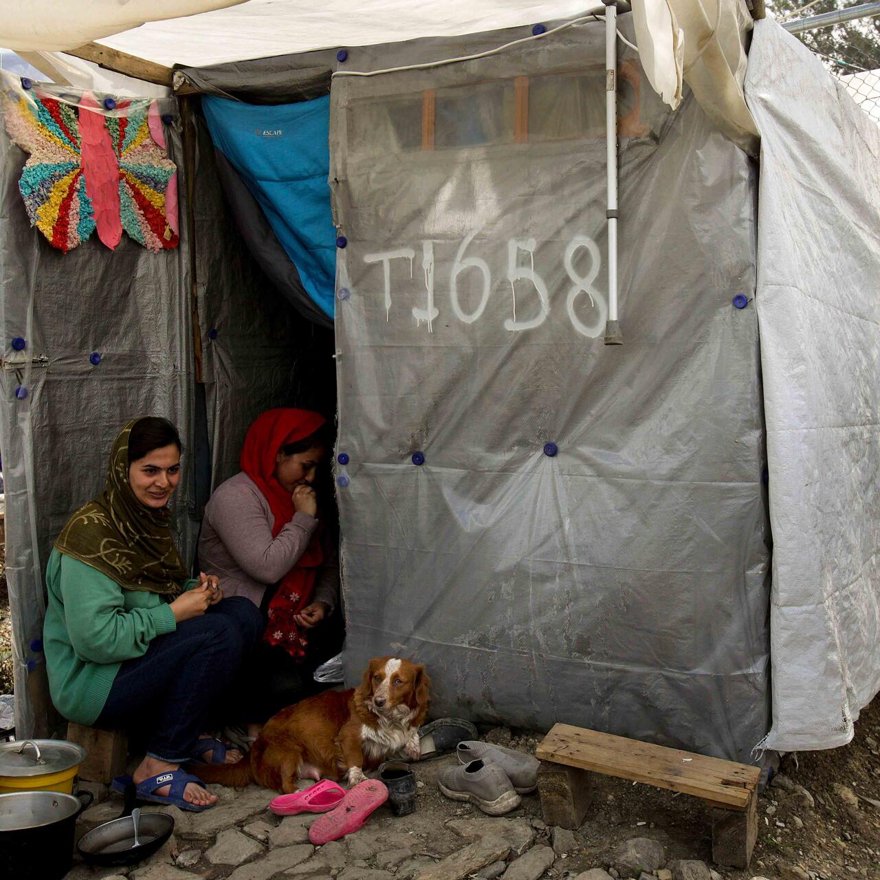 Zwei geflüchtete Frauen sitzen mit ihrem Hund vor einem Zelt im Flüchtlingslager auf der griechischen Insel Lesbos