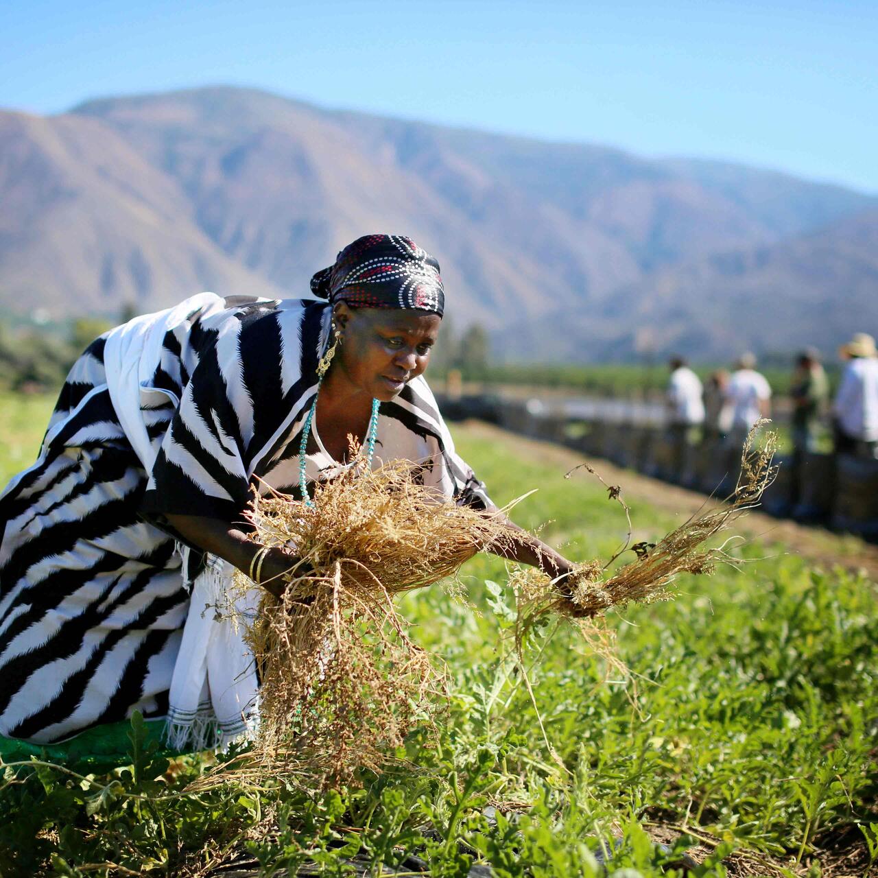 Eine Frau bei der Feldarbeit in San Diego