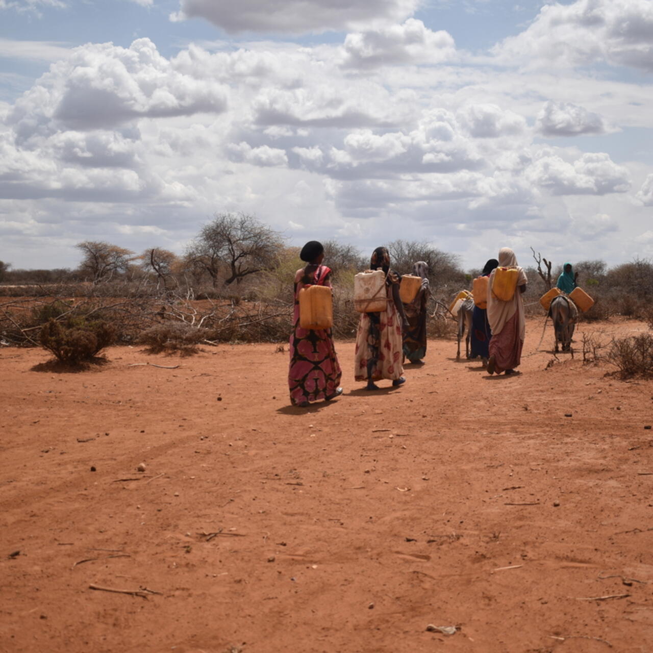 Women going long distances to search for water- drought-affected communities