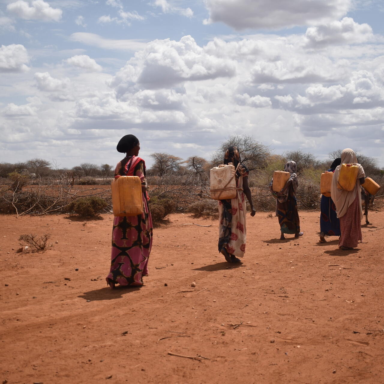 Women walking to collect water in Ethiopia