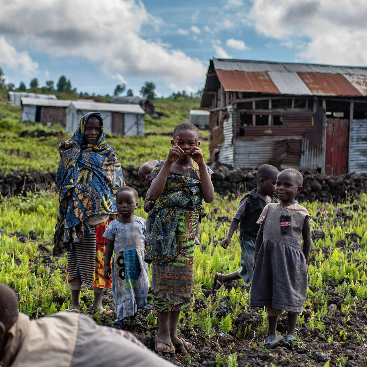 A family picks crops on their farm in the Democratic Republic of Congo.