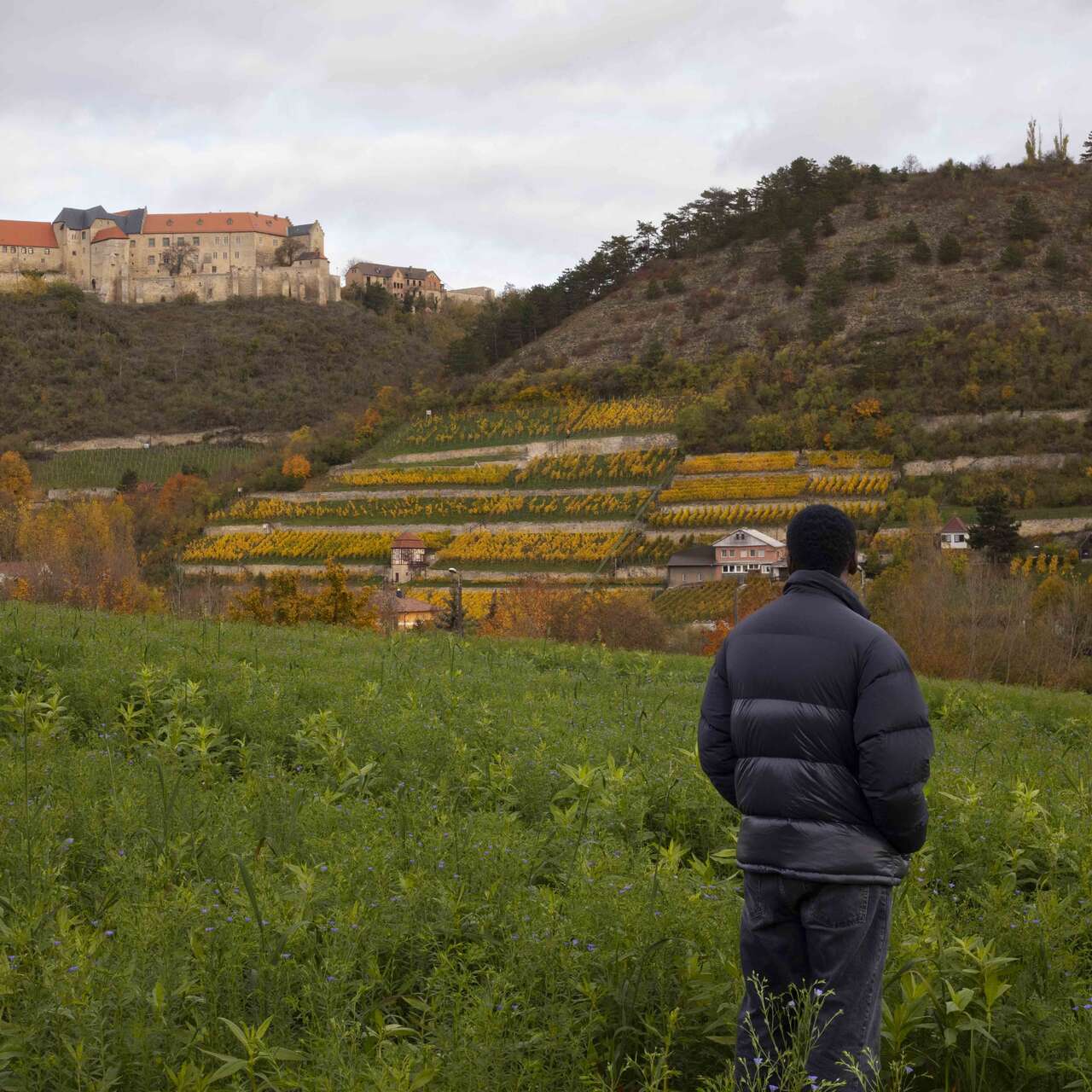 Eine Person in einem Weinberg blickt auf ein Schloss auf einem Hügel, umgeben von terrassierten Feldern unter einem wolkigen Himmel.