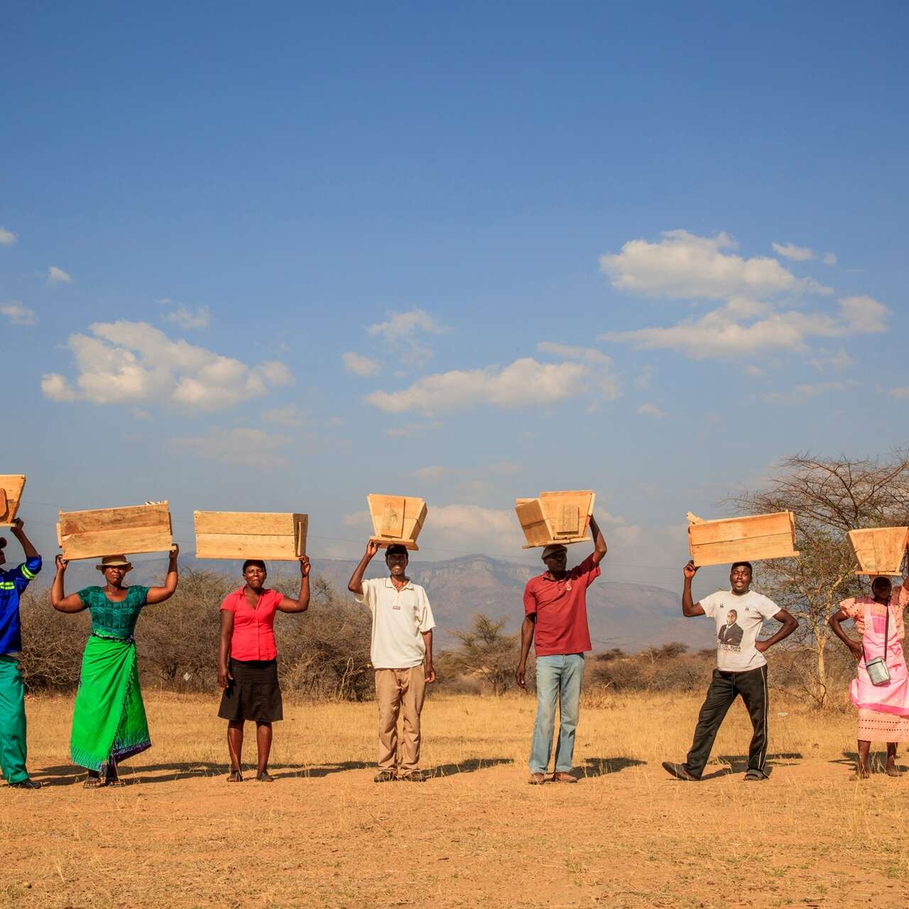 Flera människor står på rad och håller i olika bikupor i träd.