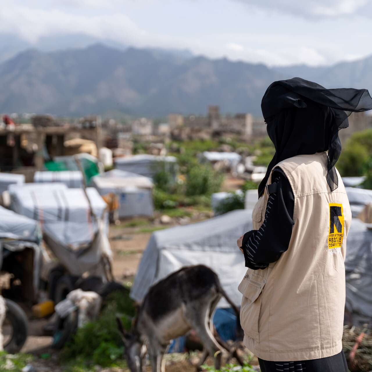 Sahdah IDPs Camp, Qa'atabah District, Al-Dhale'e, Yemen. 