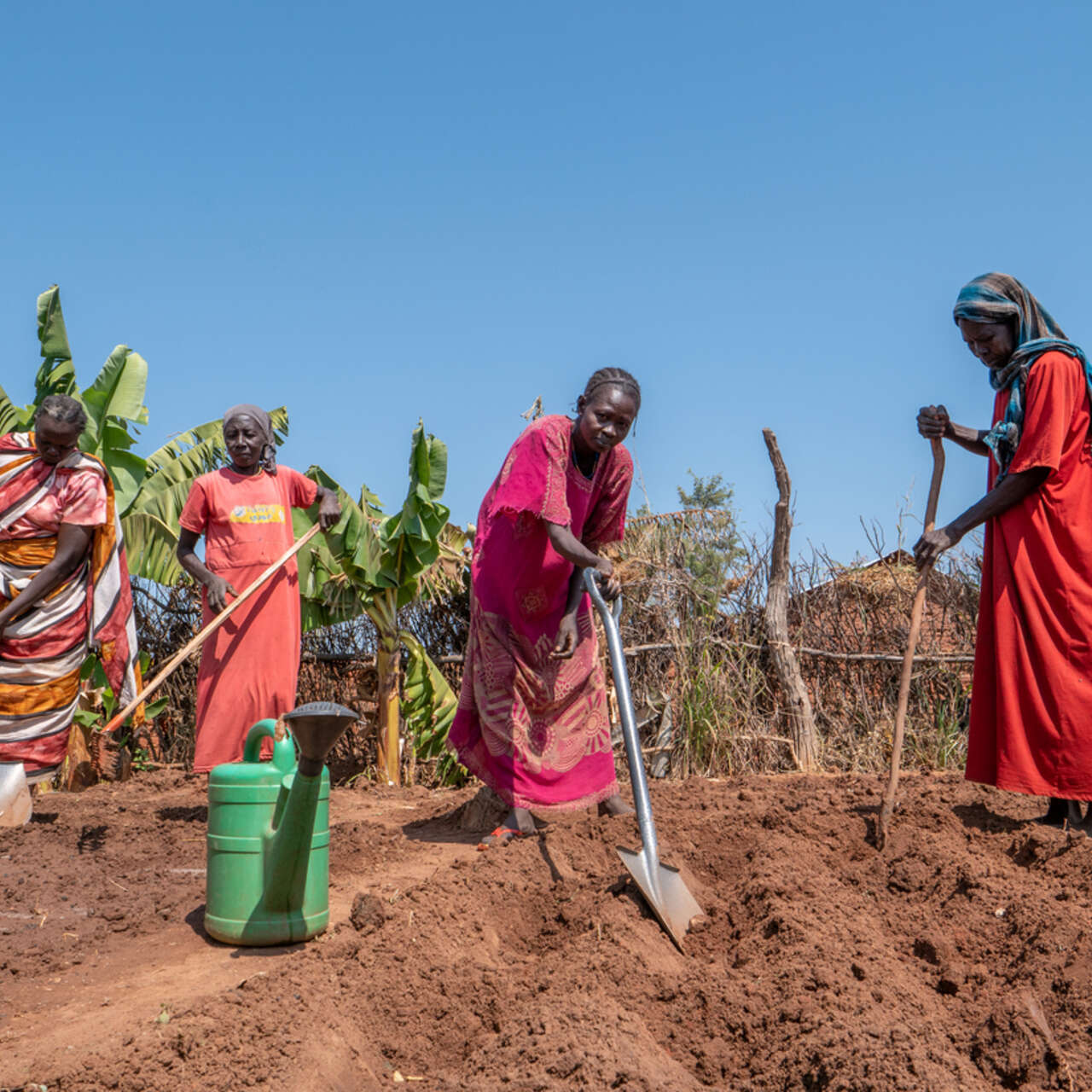 Fyra kvinnor i Sydsudan står vid odlingsmark. De deltar i RESCUE:s program för hållbart jordbruk.