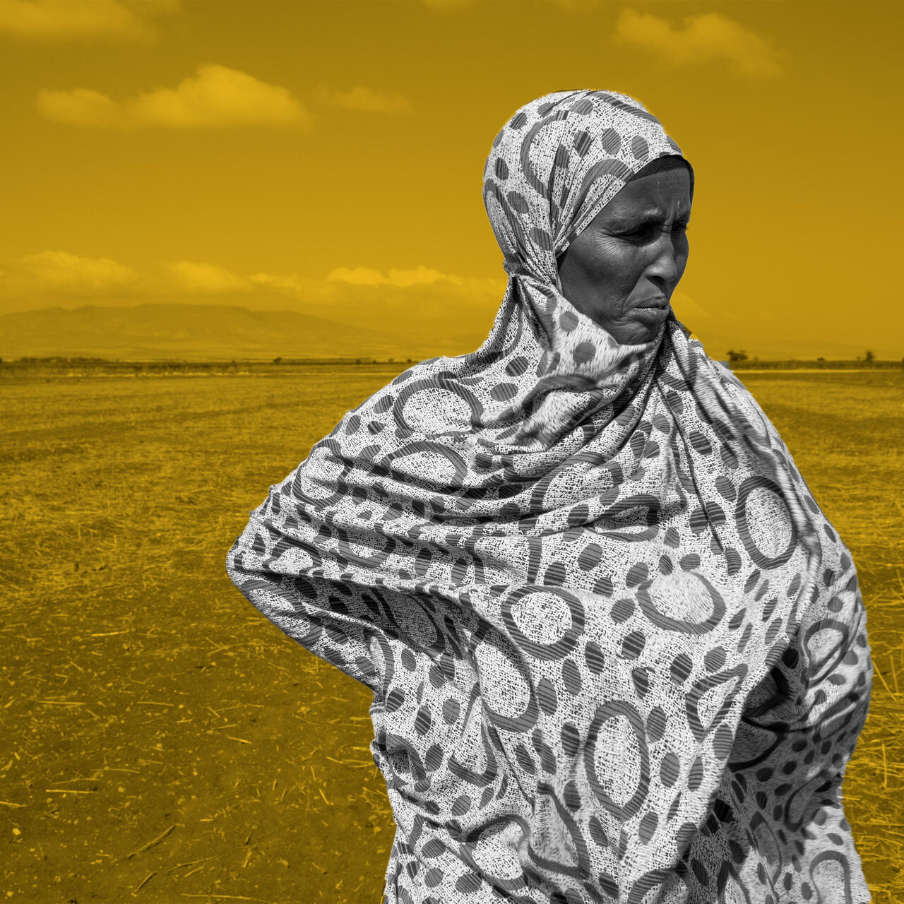 An elderly woman stands, hands on hips,  in a dry field in Ethiopia during a drought.