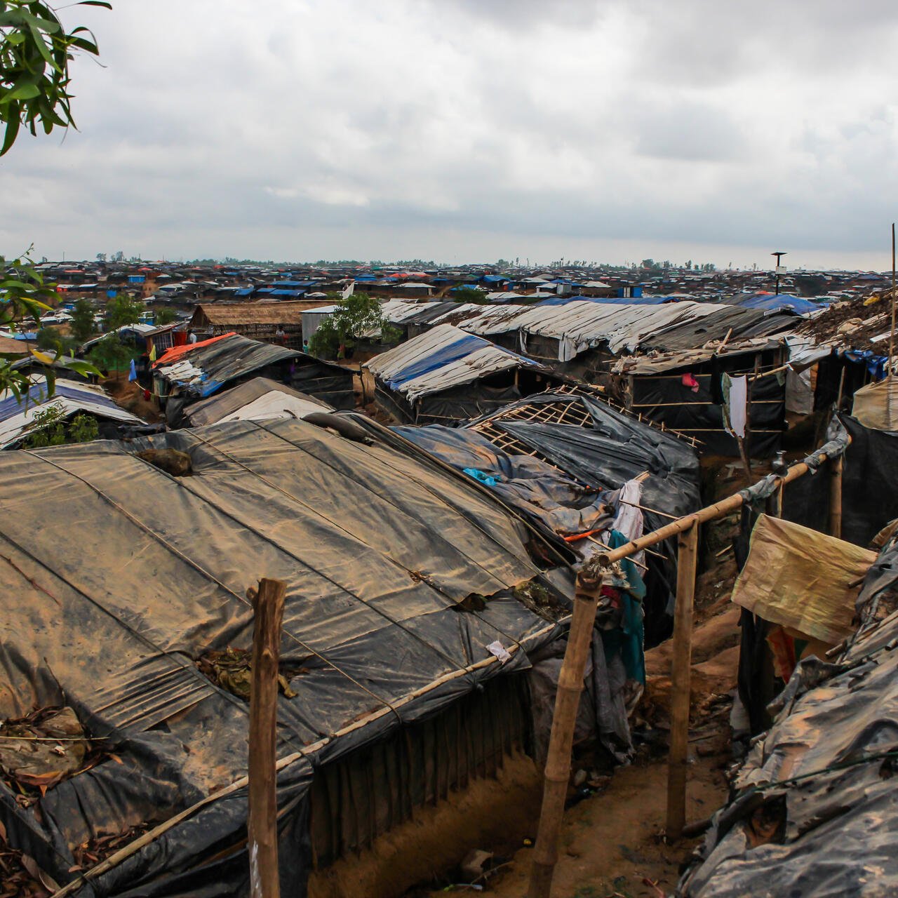 Makeshift refugee shelters made of bamboo, tarps and other found materials.