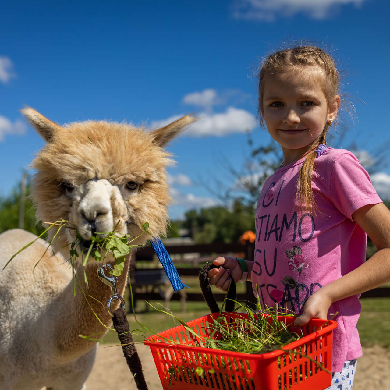 IRC client feeding a Alpaca