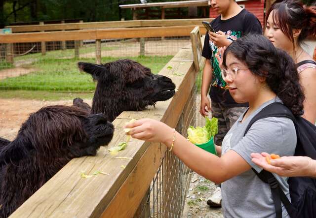 Students on a field trip at summer camp.