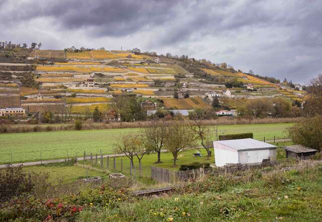 Eine Landschaft mit einem terrassierten Weinberg-Hang, einigen verstreuten Gebäuden und einem kleinen Haus im Vordergrund unter einem bewölkten Himmel.