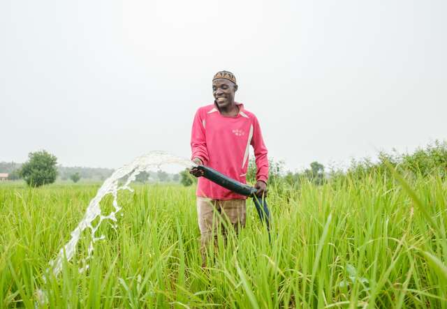 나이지리아 시골에서 한 농부가 양수기를 이용해 농작물에 물을 대고 있습니다.