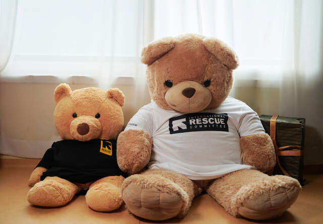 귀여운 곰돌이들이 국제구조위원회 티셔츠를 입고 앉아있습니다.