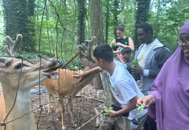 Students pet and feed animals at the sanctuary
