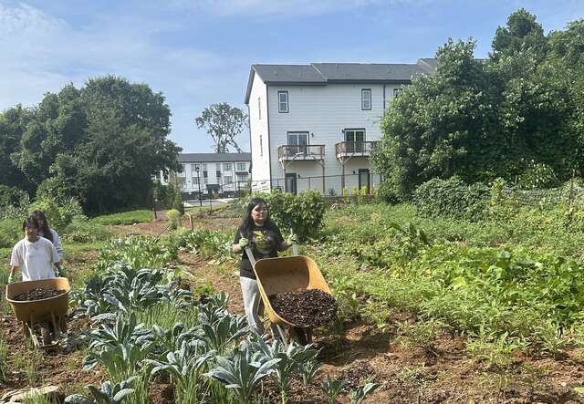 Students tend the garden.