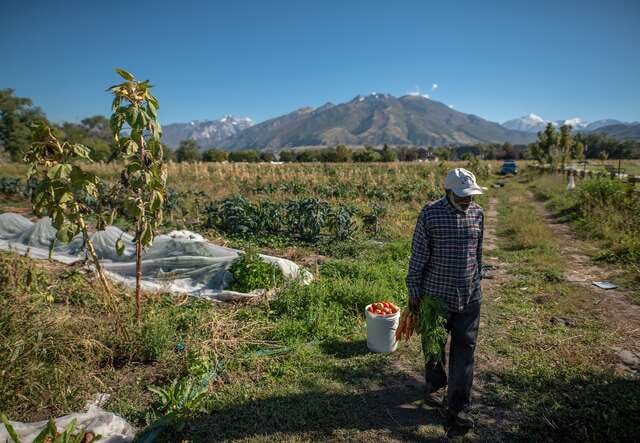 Tariq*, a refugee from Sudan, became a successful farmer after being resettled by the IRC in Salt Lake City. He has become one of the region’s most productive farmers and his daughter, Lara*, has a job helping refugee and immigrant farmers succeed in America.
