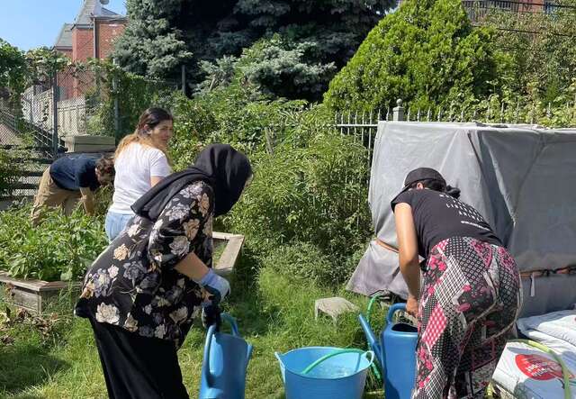 NY New Roots supplies 2