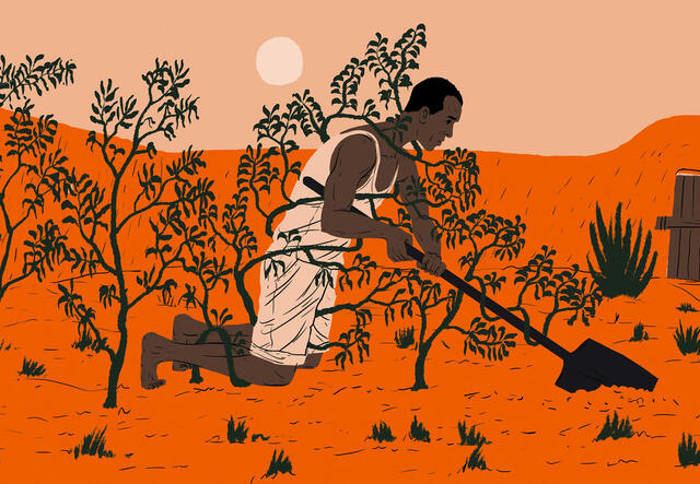 A man kneels in a garden with a shovel.