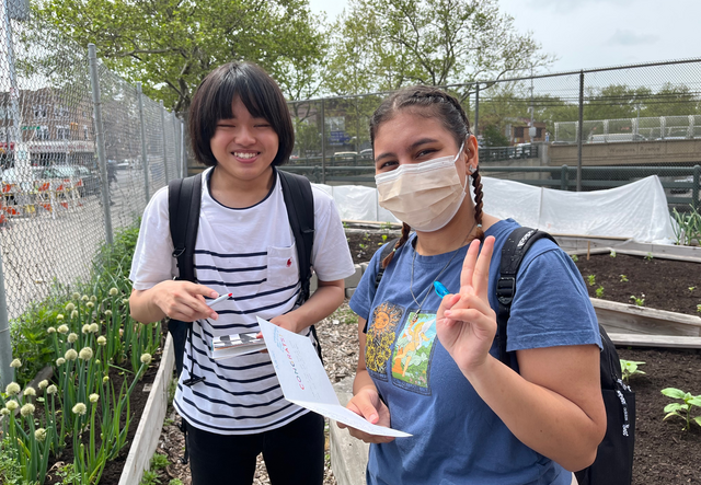 LIT students at New Roots