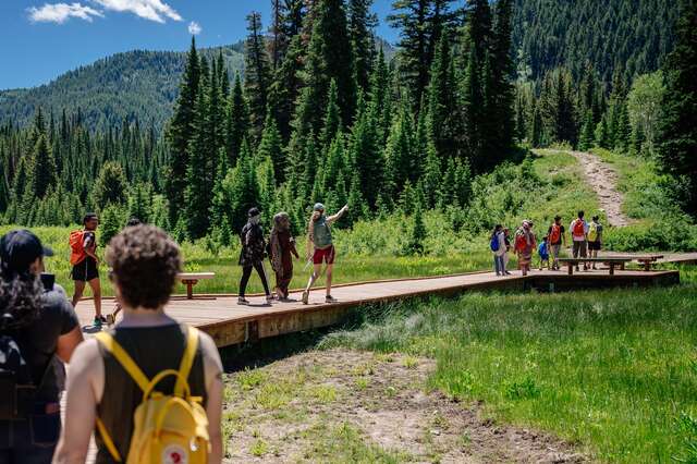 Wasatch Range backgound with blue skies and tall pine trees, group walks along an established path facing away from the camera as the trail bends.