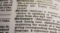 Image of a dictionary