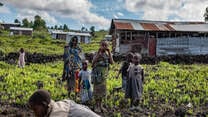 A family picks crops on their farm in the Democratic Republic of Congo.