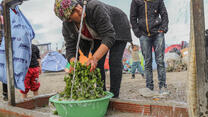A woman washes vegatables at an IRC-installed water tap in Idomeni, Greece