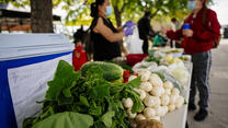 Two people communicate over a table full of produce.