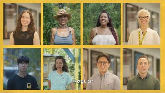 희망이 시작된 곳, 국제구조위원회