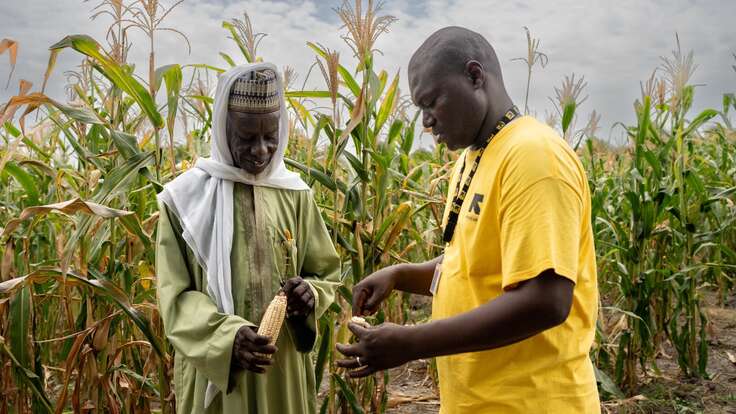 키메가 국제구조위원회 스태프와 함께 수확한 옥수수를 바라보며 흐믓하게 웃고 있습니다.